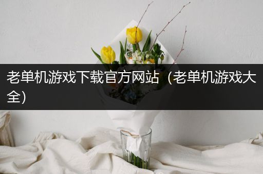 老单机游戏下载官方网站（老单机游戏大全）