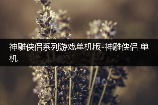 神雕侠侣系列游戏单机版-神雕侠侣 单机