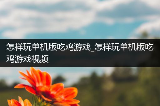 怎样玩单机版吃鸡游戏_怎样玩单机版吃鸡游戏视频