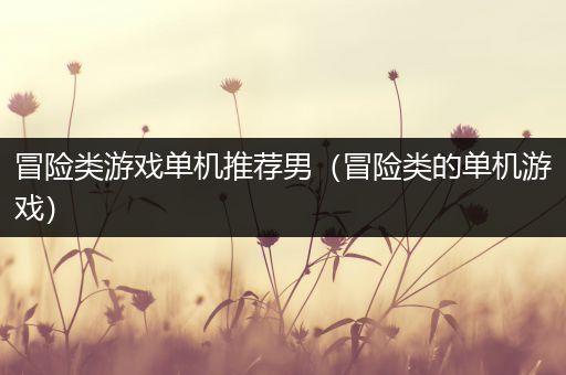 冒险类游戏单机推荐男（冒险类的单机游戏）