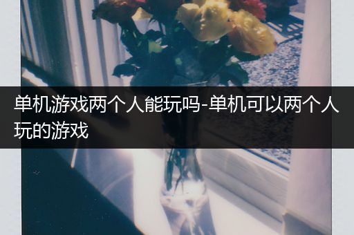 单机游戏两个人能玩吗-单机可以两个人玩的游戏