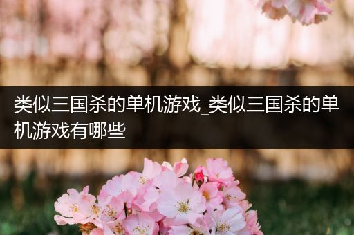 类似三国杀的单机游戏_类似三国杀的单机游戏有哪些