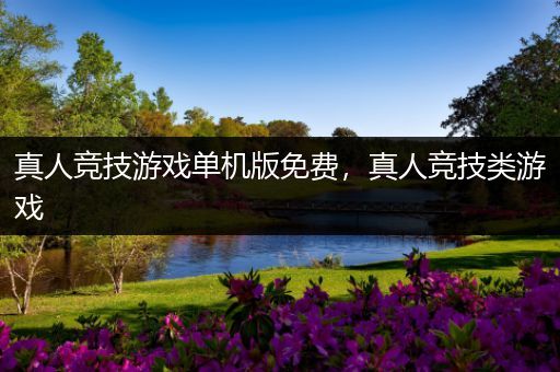 真人竞技游戏单机版免费，真人竞技类游戏