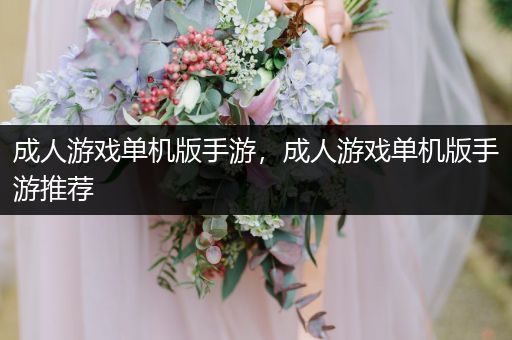 成人游戏单机版手游，成人游戏单机版手游推荐