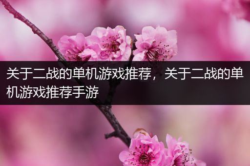 关于二战的单机游戏推荐，关于二战的单机游戏推荐手游