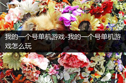我的一个号单机游戏-我的一个号单机游戏怎么玩