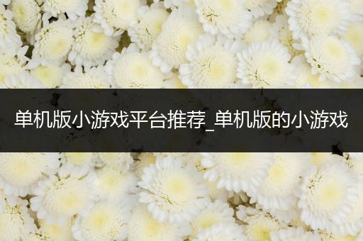 单机版小游戏平台推荐_单机版的小游戏