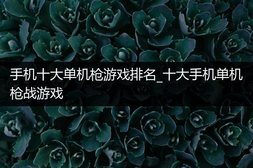 手机十大单机枪游戏排名_十大手机单机枪战游戏