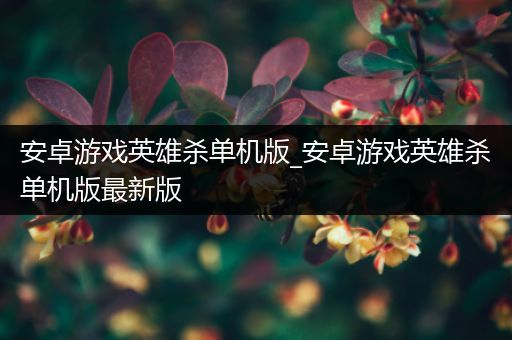 安卓游戏英雄杀单机版_安卓游戏英雄杀单机版最新版