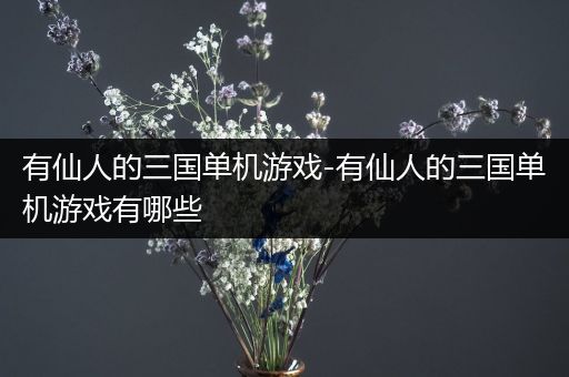 有仙人的三国单机游戏-有仙人的三国单机游戏有哪些
