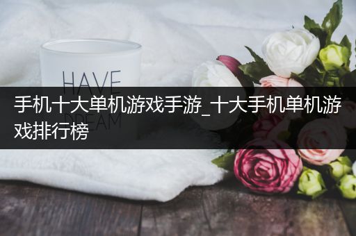 手机十大单机游戏手游_十大手机单机游戏排行榜