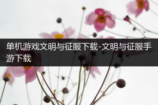 单机游戏文明与征服下载-文明与征服手游下载
