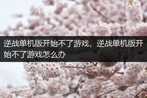 逆战单机版开始不了游戏，逆战单机版开始不了游戏怎么办