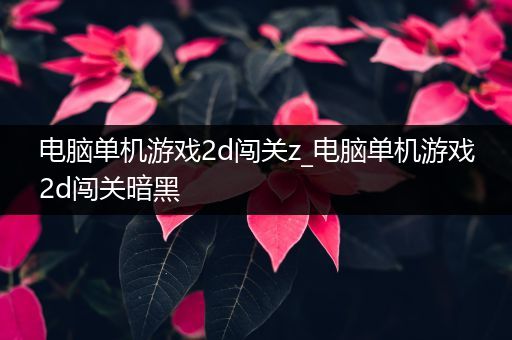 电脑单机游戏2d闯关z_电脑单机游戏2d闯关暗黑