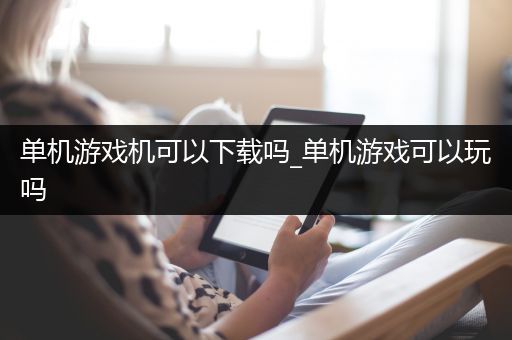 单机游戏机可以下载吗_单机游戏可以玩吗
