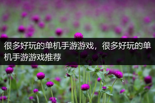 很多好玩的单机手游游戏，很多好玩的单机手游游戏推荐