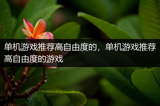 单机游戏推荐高自由度的，单机游戏推荐高自由度的游戏