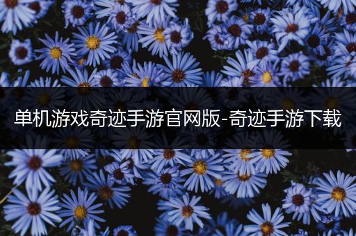 单机游戏奇迹手游官网版-奇迹手游下载
