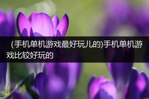 （手机单机游戏最好玩儿的)手机单机游戏比较好玩的