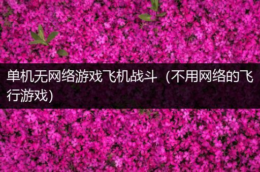 单机无网络游戏飞机战斗（不用网络的飞行游戏）