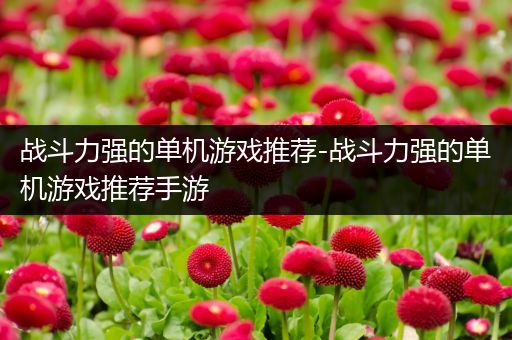 战斗力强的单机游戏推荐-战斗力强的单机游戏推荐手游