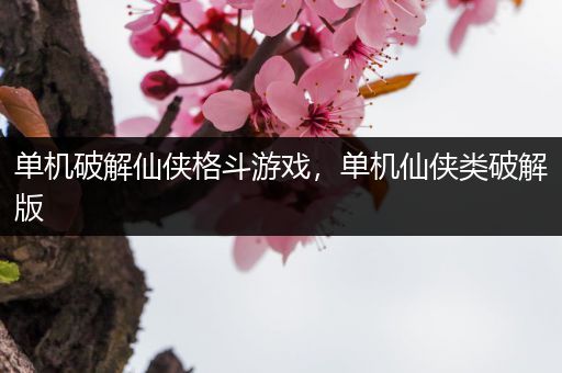 单机破解仙侠格斗游戏，单机仙侠类破解版