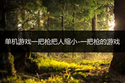 单机游戏一把枪把人缩小-一把枪的游戏