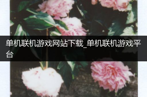 单机联机游戏网站下载_单机联机游戏平台
