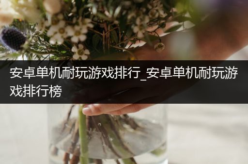 安卓单机耐玩游戏排行_安卓单机耐玩游戏排行榜