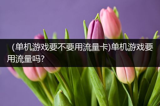 （单机游戏要不要用流量卡)单机游戏要用流量吗?