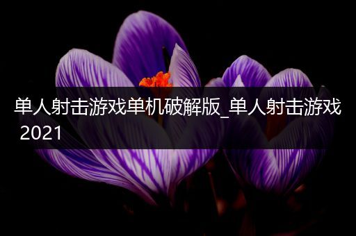 单人射击游戏单机破解版_单人射击游戏 2021