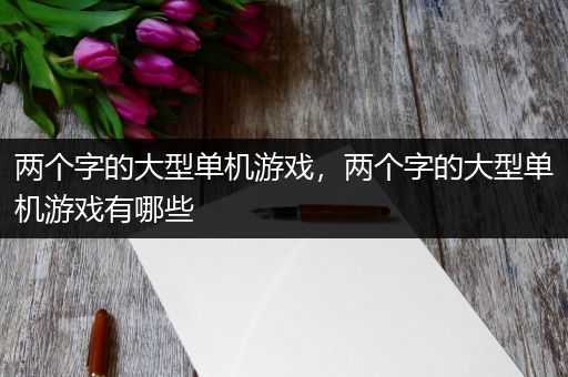 两个字的大型单机游戏，两个字的大型单机游戏有哪些