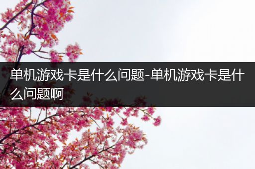 单机游戏卡是什么问题-单机游戏卡是什么问题啊