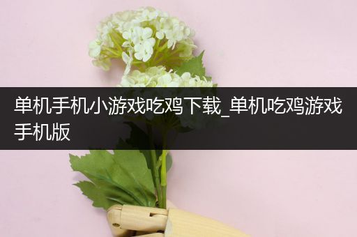 单机手机小游戏吃鸡下载_单机吃鸡游戏手机版