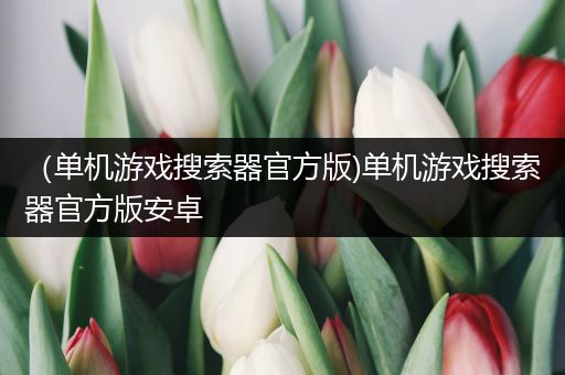 （单机游戏搜索器官方版)单机游戏搜索器官方版安卓