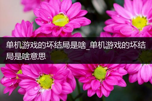 单机游戏的坏结局是啥_单机游戏的坏结局是啥意思