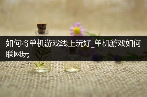 如何将单机游戏线上玩好_单机游戏如何联网玩