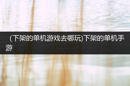 （下架的单机游戏去哪玩)下架的单机手游