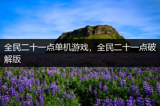 全民二十一点单机游戏，全民二十一点破解版