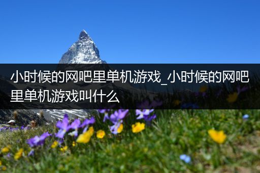 小时候的网吧里单机游戏_小时候的网吧里单机游戏叫什么