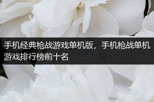手机经典枪战游戏单机版，手机枪战单机游戏排行榜前十名