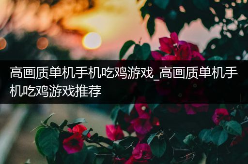 高画质单机手机吃鸡游戏_高画质单机手机吃鸡游戏推荐