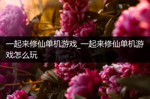 一起来修仙单机游戏_一起来修仙单机游戏怎么玩