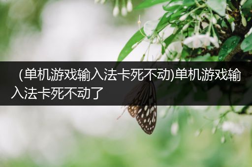 （单机游戏输入法卡死不动)单机游戏输入法卡死不动了