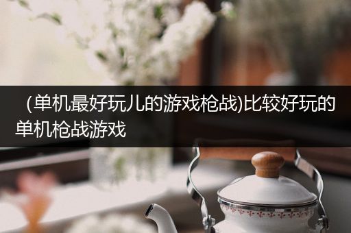 （单机最好玩儿的游戏枪战)比较好玩的单机枪战游戏