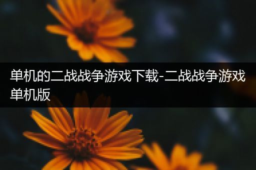 单机的二战战争游戏下载-二战战争游戏单机版