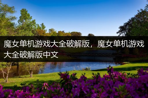 魔女单机游戏大全破解版，魔女单机游戏大全破解版中文