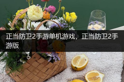 正当防卫2手游单机游戏，正当防卫2手游版