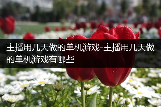 主播用几天做的单机游戏-主播用几天做的单机游戏有哪些