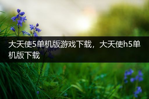 大天使5单机版游戏下载，大天使h5单机版下载